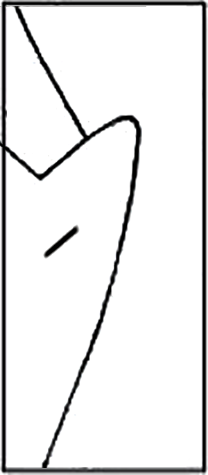 Custom Suit Coat Shawl Lapels